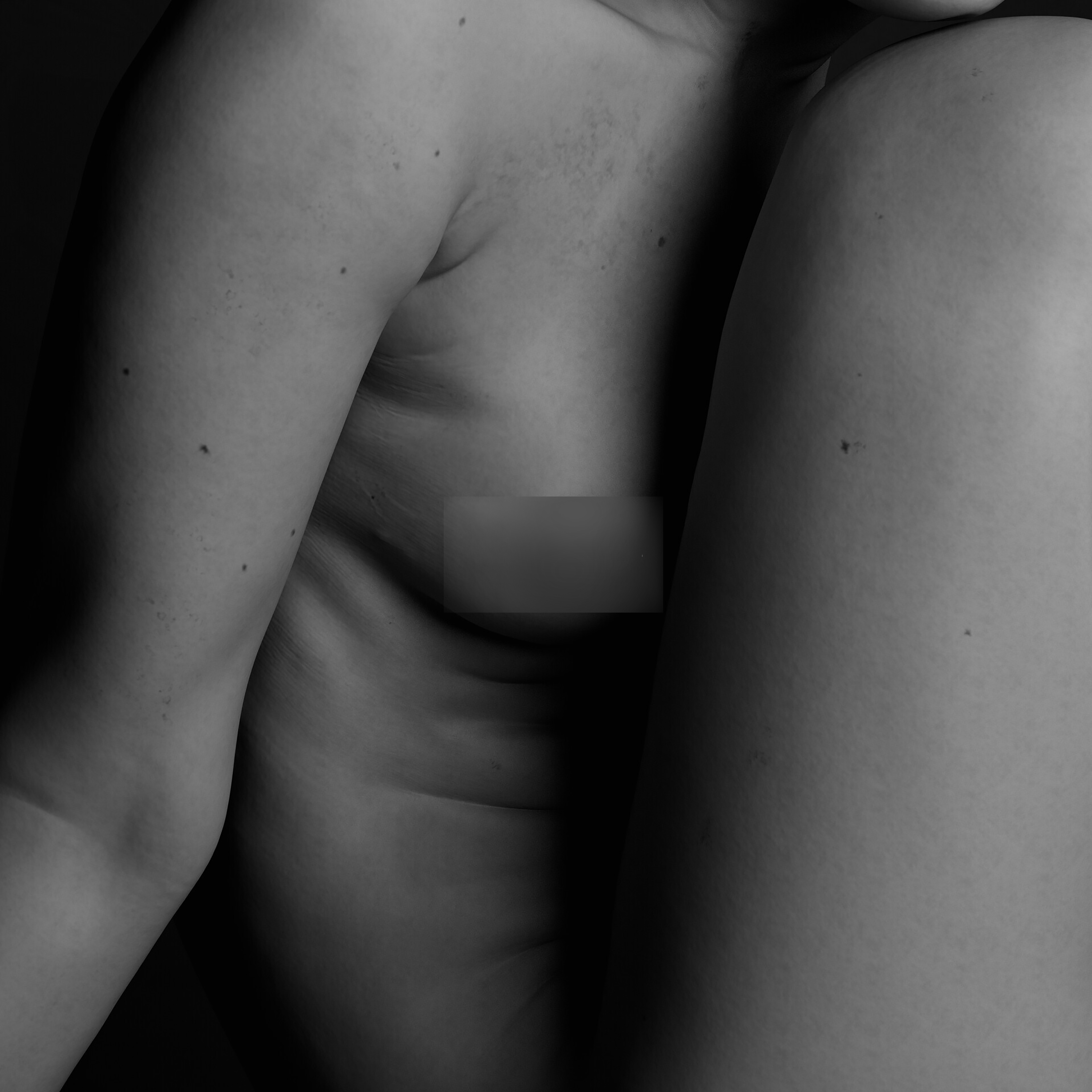 Anatomy Study #1