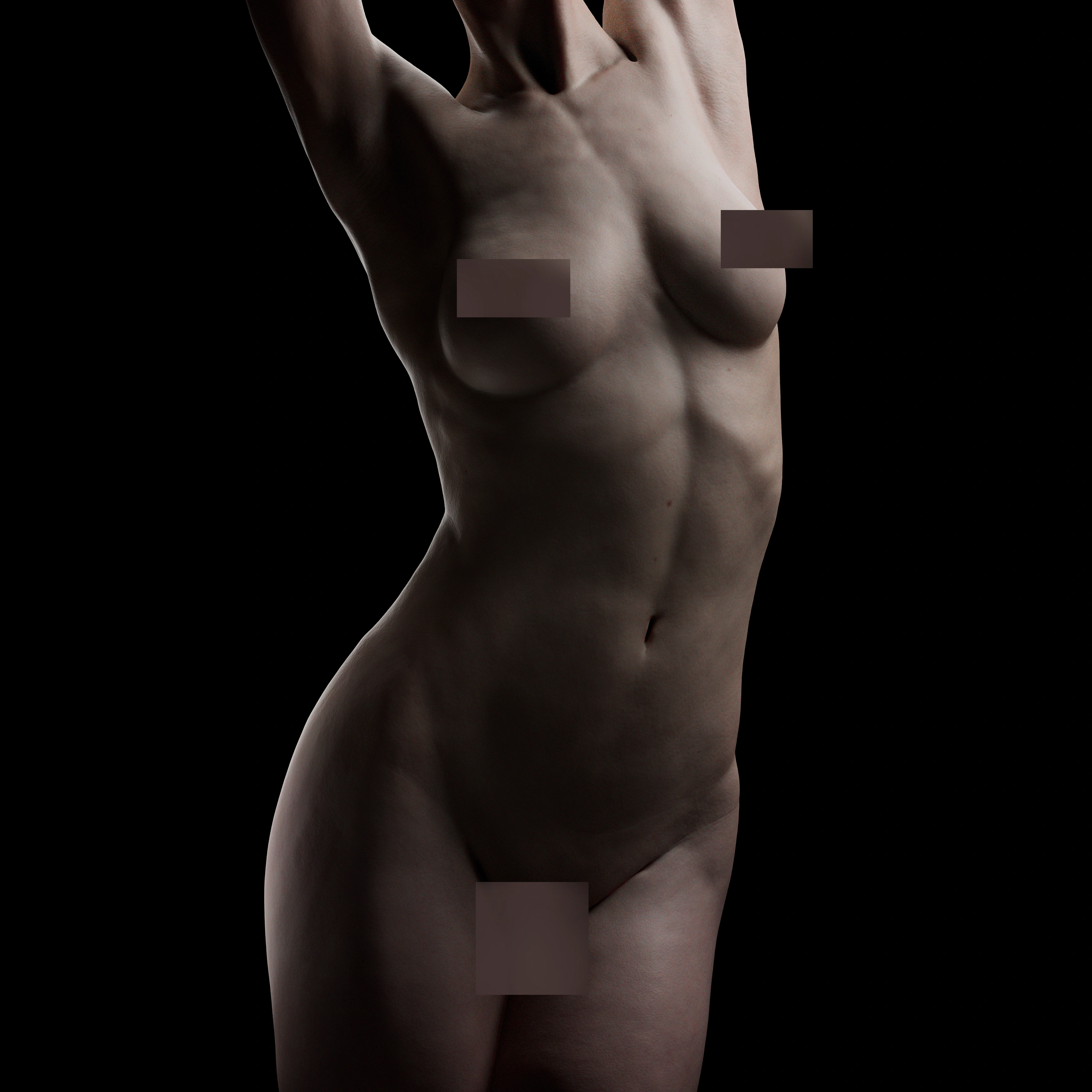 Anatomy Study #2